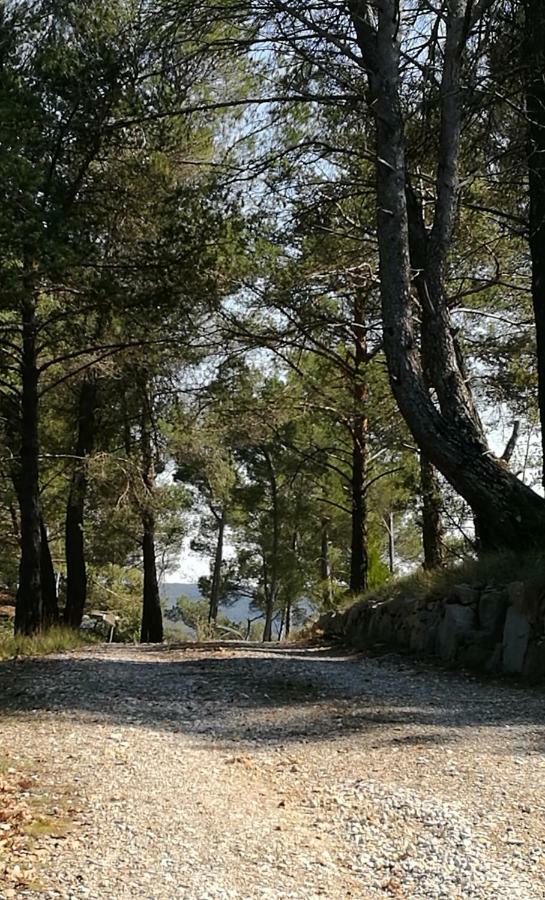 אספארו-דה-ורדו La Pinede Du Lac מראה חיצוני תמונה